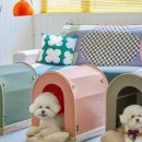 멍하우스 이미지