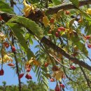 이기철농장 이미지