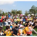 순천만 힐링 이미지