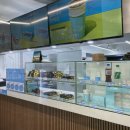 중앙5길 이미지