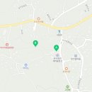 금덕무환자나무및팽나무군락 이미지