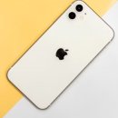 17 이미지