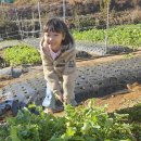 두현농장 이미지