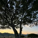 소소한가 이미지