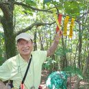 흐리다 카던 날씨가 송곳긋은 햇살로 둔갑을 하고! - 사천 망산공원, 남해 용문사 수국, 농가섬, 다시 사천 초양도,늑도~ 이미지