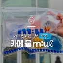 카페카테고리 | 제주 물카페 물젤리 후기 가격, 메뉴, 6가지 맛 솔직 리뷰