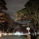 영실기암과 오백나한 | 한라산 윗세 오름 영실코스 25년 11월 12일 단풍은?