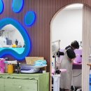 르네펫살롱 이미지