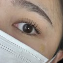 베네브로우 | 보정동속눈썹펌 잘하는 곳 찾는다면 베네브로우 후기와 관리법