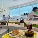 거제 귀여운쿼카가 생각나는 카페 : 쿼스커피 QUOS COFFEE