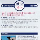 팔공산 둘레길 16구간 네이버블로그