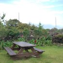 물멍쉬멍 이미지