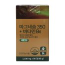 더블유엘비에프 이미지