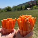 가야119지역대 | [경남/하동] ‘해뜰목장’ 귀여운 동물 보고 나만의 피자 만들기