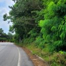 솔향기 힐링 하우스 이미지