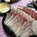 서울 2대 대방어 맛집 망원역 우리바다수산 주말 오픈런 후기