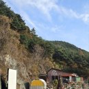 무료영화상영(하울의 움직이는 성) 이미지