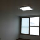 서대신 엔스타 이미지