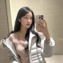 비프렌즈 | 마이피픈 비프벤티 데님&오트밀 원데이 컬러렌즈,혼혈렌즈 내돈내산 후기