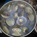 상주유자랜드 이미지