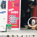 일품양평해장국항남점