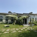 들마루칼국수 이미지