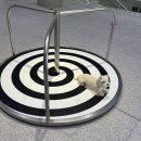 아모레퍼시픽 미술관 전시 &lt; ELMGREEN &amp; DRAGSET - SPACES &gt;