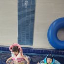 키즈풀빌라똥강아지 이미지