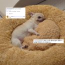 강남대로101길 28 | 08-1