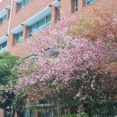 사거리 열린약국 | 푸릇푸릇 5월일상🌳🌿🌱