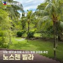 보드랍개 | 보홀 노스젠 빌라 젠 스위트룸 객실 컨디션 직접 묵어본 솔직후기