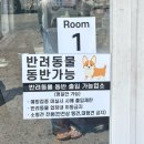 와우농원 | [담양 삼거리농원] 애견동반가능 솥뚜껑닭볶음탕 맛집 내돈내산 후기