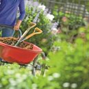 가드닝과 정원만들기 이미지