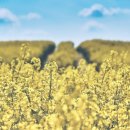 제성한의원 이미지