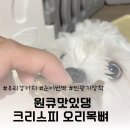 맛있댕 이미지