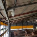 이레 양계장 이미지