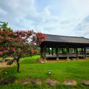 동림1리 이미지