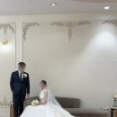 광덕3로 318 | [벨라모멘토] 안산 AW 컨벤션 파티오볼룸 홀 아이폰 스냅 본식 후기