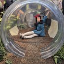 삼각어린이공원 | [일본]아이랑 나고야 3일차 : 지브리파크 프리미엄 티켓 후기 (7살 아이와 완벽 동선)