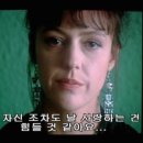 파니핑크