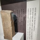 백제동물병원 | 국립부여박물관, 백제금동대향로관 [서부통신경외과] 대구초등학생체험, 부여 볼거리, 부여여행지 추천