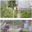 무안곤충농장 이미지