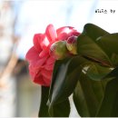 안산식물원 이미지