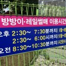 영암프리미엄키즈글램핑 이미지