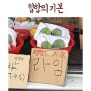 뽀비 이미지
