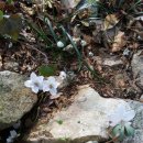 은사 행정사사무소 이미지