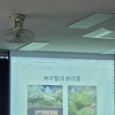 봄의 선물, 제주 밥상 이야기 이미지