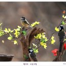아름다운연출 이미지