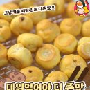 주식회사 호두랩스 이미지