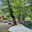 표충사매표소앞 이미지